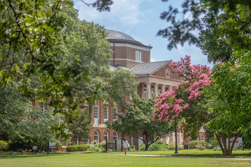 Photo of meredith college campus in the spring with blooming pink flowers